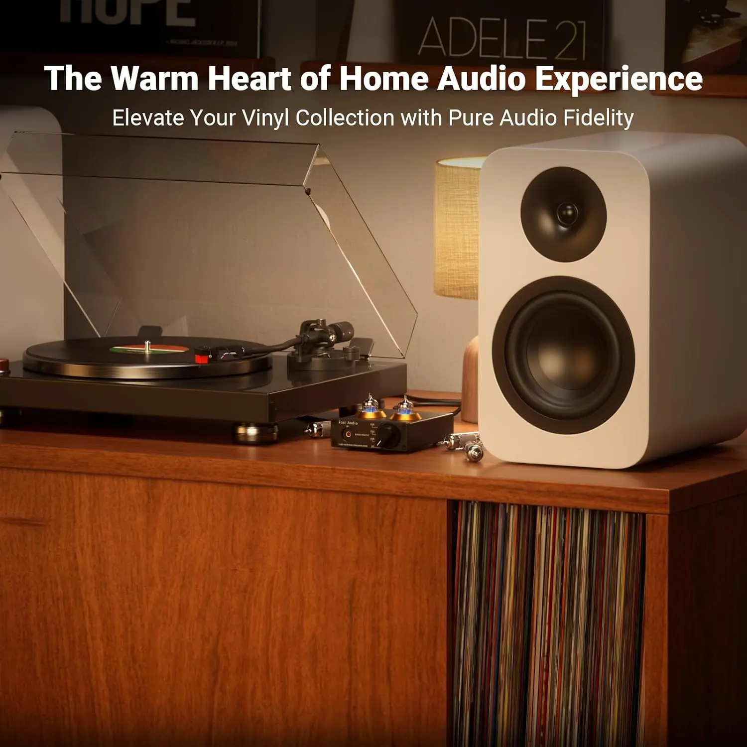 Box X2 Phono Preamp, Mini Ster - Audio Youtube Music Free review and price