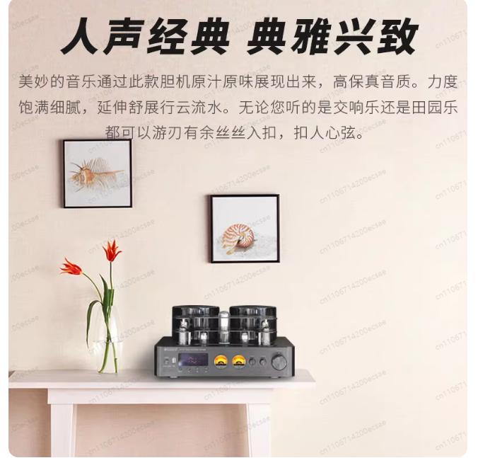 220V 400W * 2 High Fidelity Wi - Audio Youtube Music Free review and price