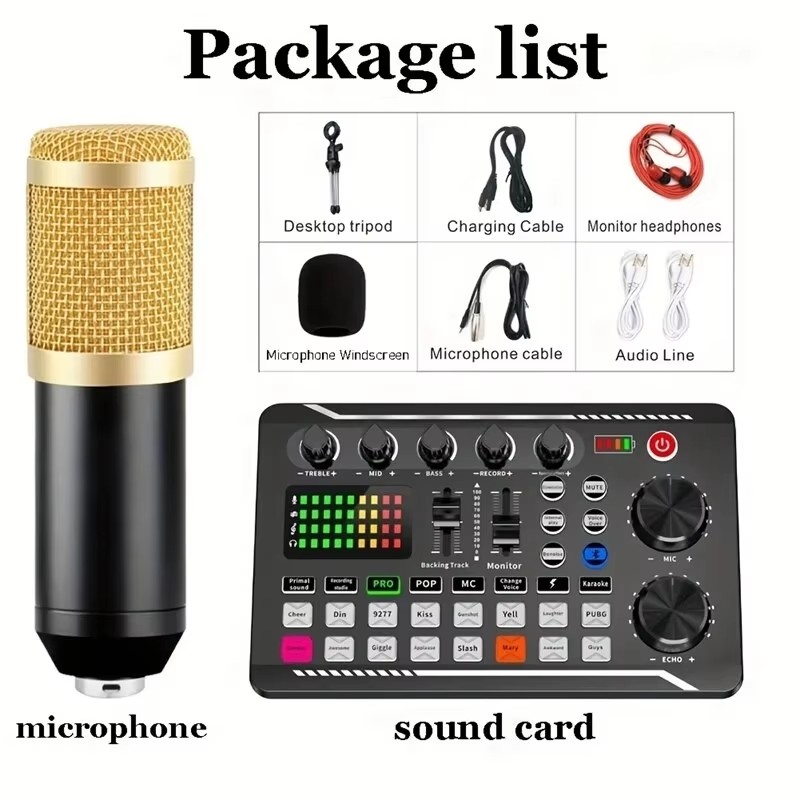 Condenser Microphone Professio - Audio Music Changer review and price